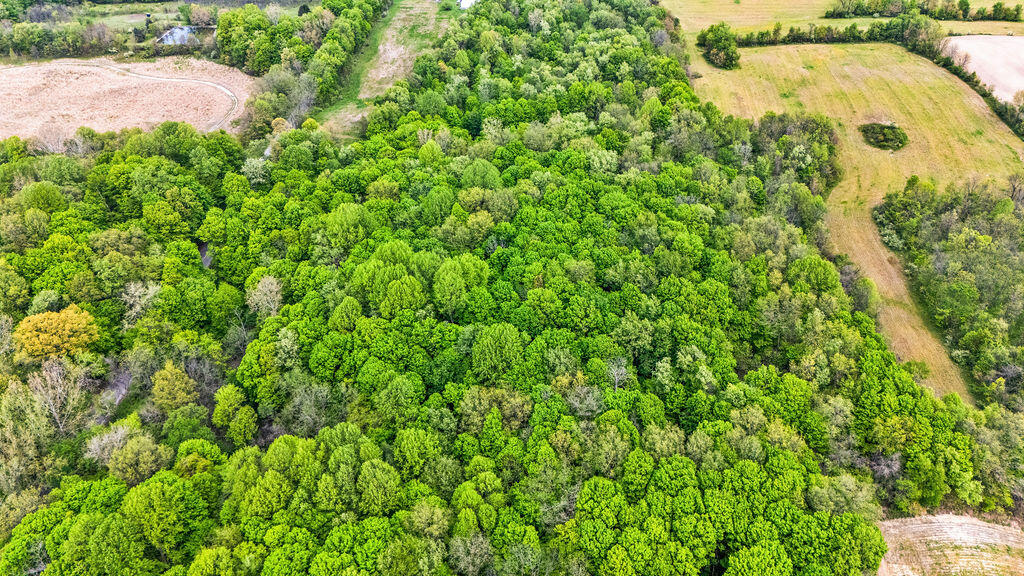 V/l Gardner Road Galien, MI 49113 - Photo 4 of 11 a6