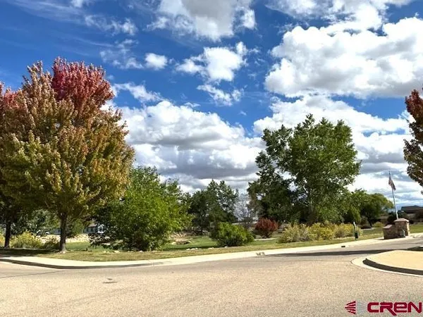 a view of a yard