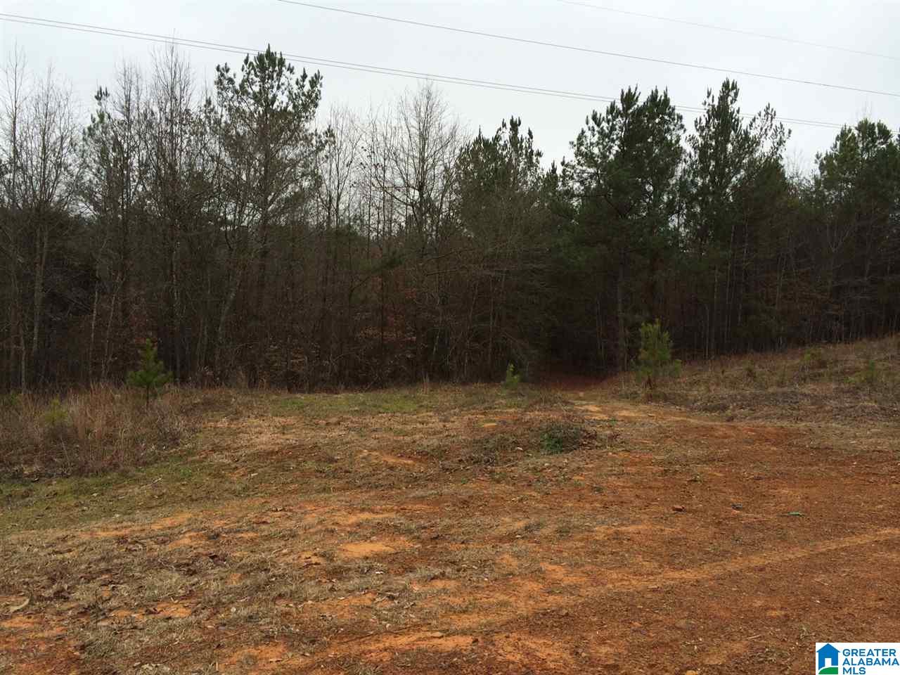 2469 Cherokee Road, Unit 40 ACRES Pell City, AL 35128 - Photo 4 of 9