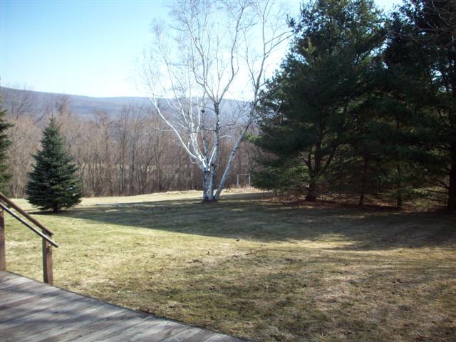 222 Luce Road Williamstown, MA 01267 - Photo 7 of 9 yard