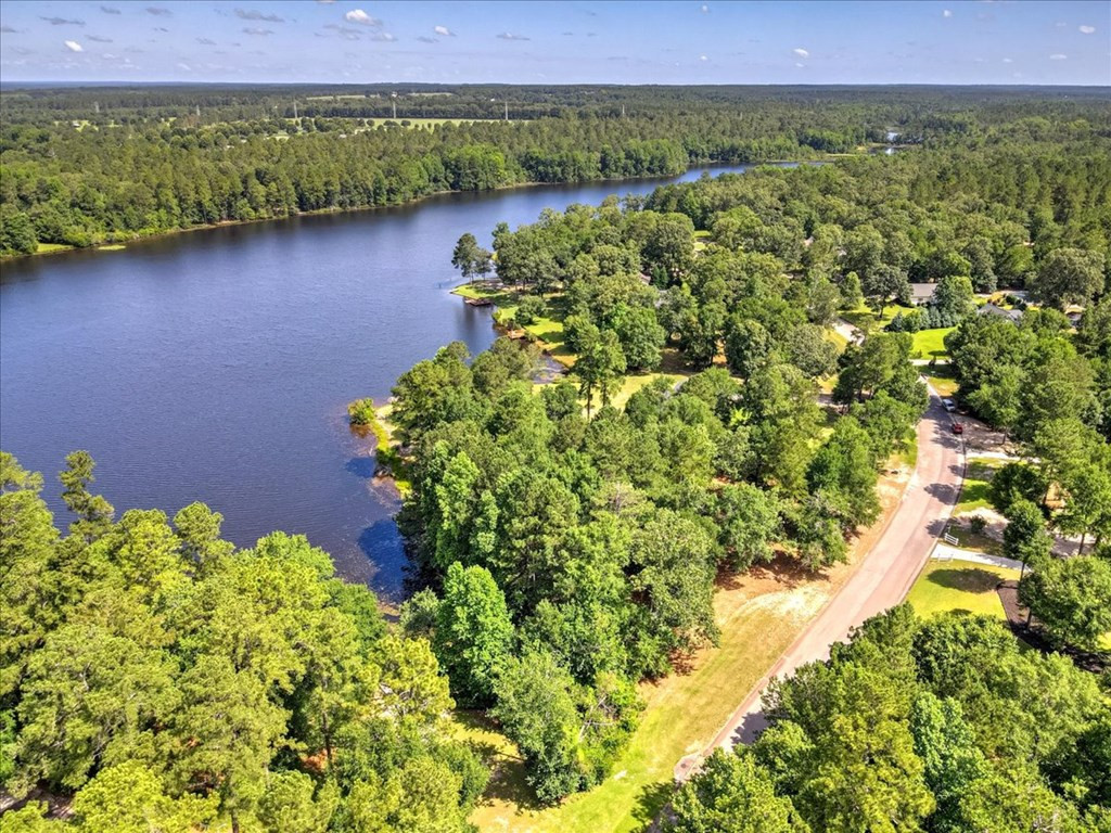 Lot 8 Wexford Mill Road Wagener, SC 29164 - Photo 5 of 14