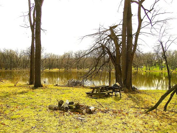a view of a lake with a palm tree next to a yard