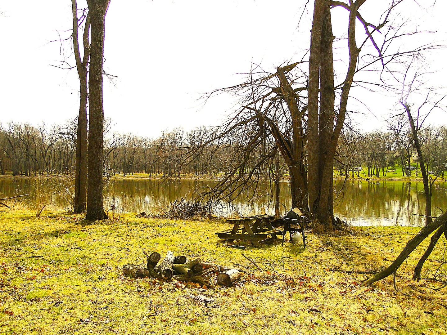 20915 West Walton Road Wilmington, IL 60481 - Photo 5 of 9