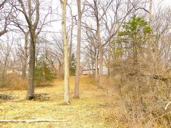 a view of back yard of the house with a large tree