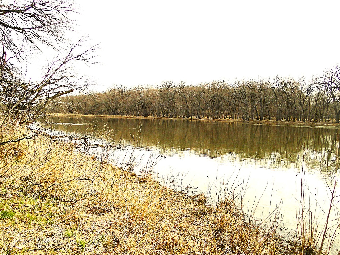 20915 West Walton Road Wilmington, IL 60481 - Photo 8 of 9