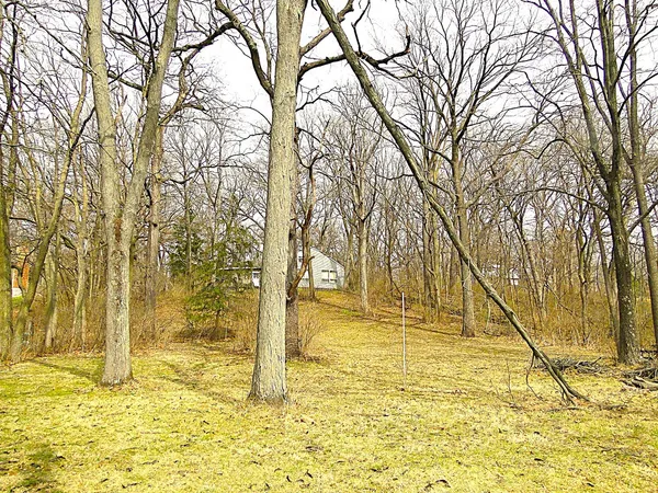 a view of back yard of the house