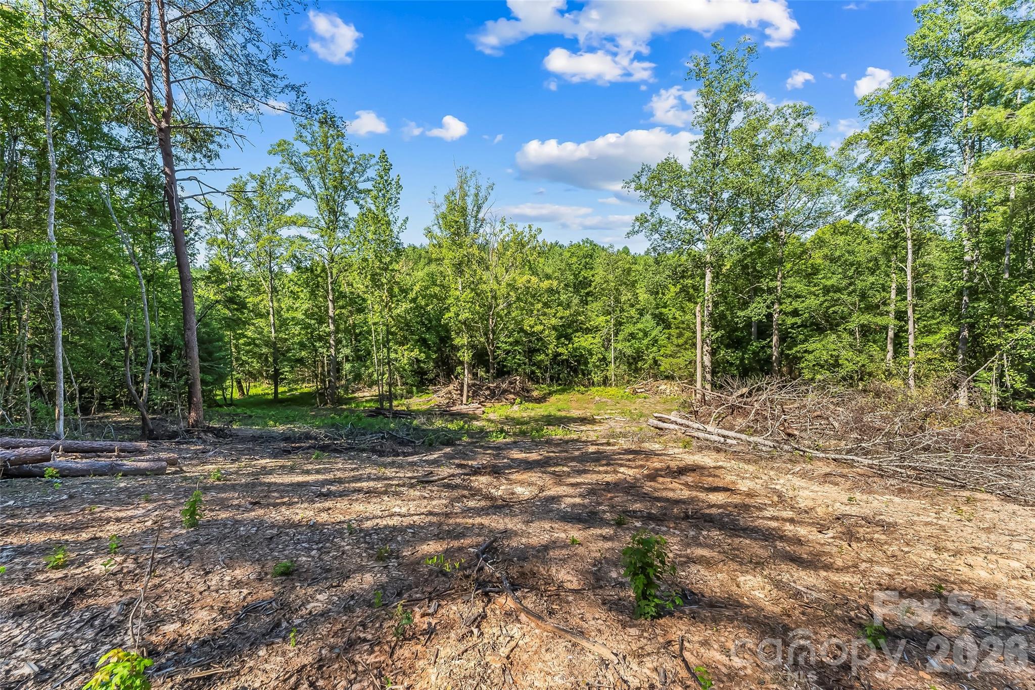 2815 Playmore Beach Road Morganton, NC 28655 - Photo 12 of 23 Gallery Image 12