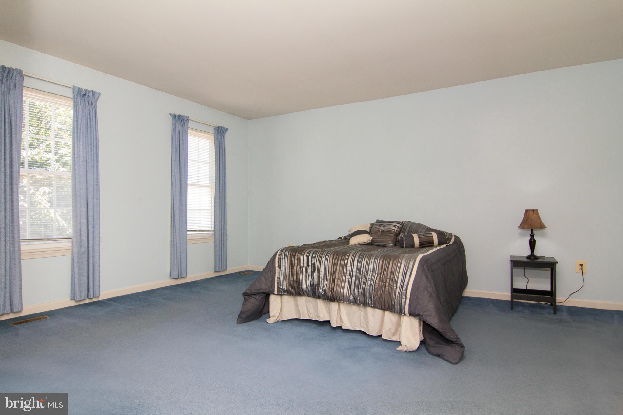 322 Kalorama Road Sykesville, MD 21784 - Photo 19 of 30 Large Master with double entrance doors