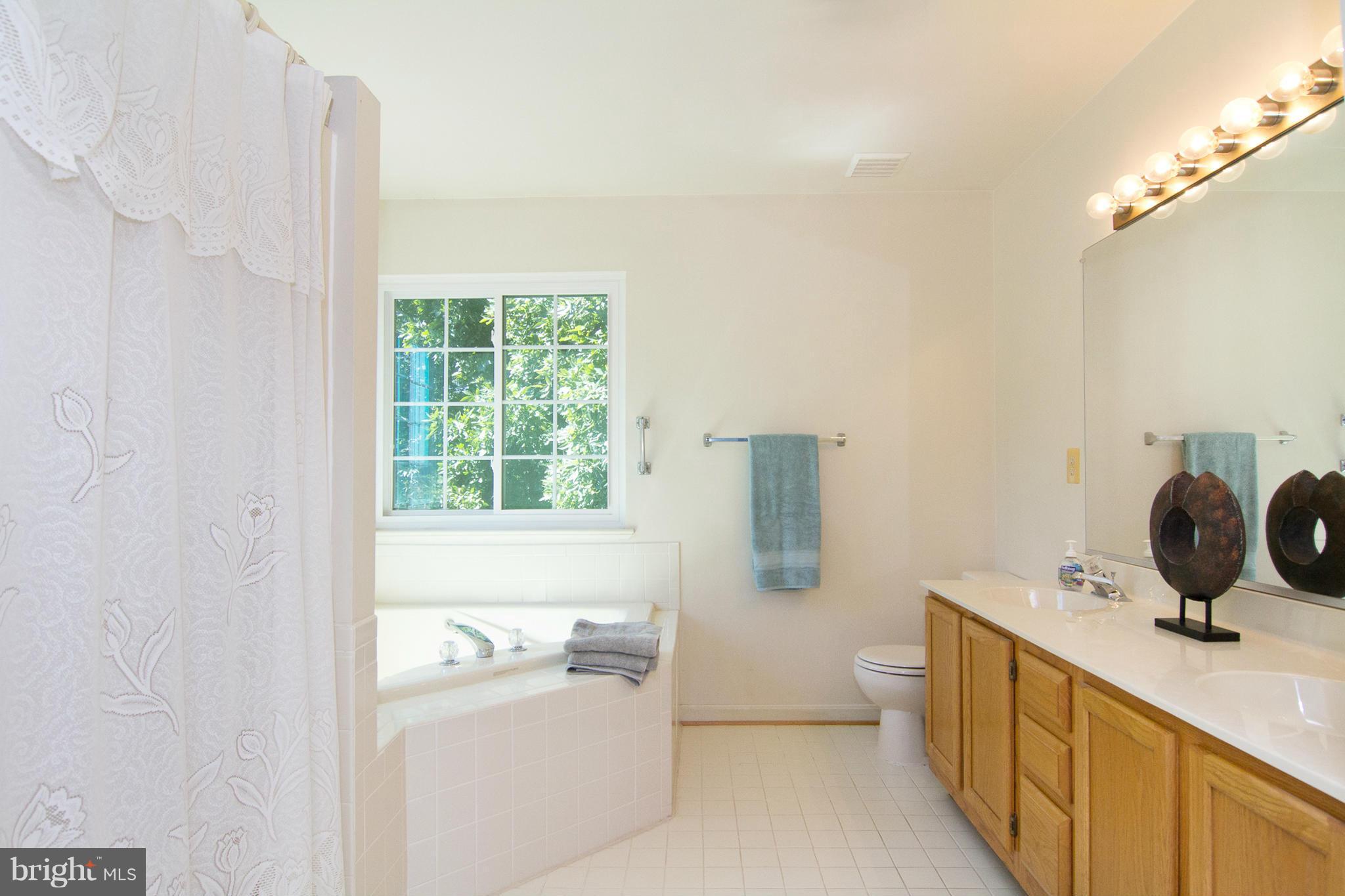 322 Kalorama Road Sykesville, MD 21784 - Photo 20 of 30 Large tub & separate shower