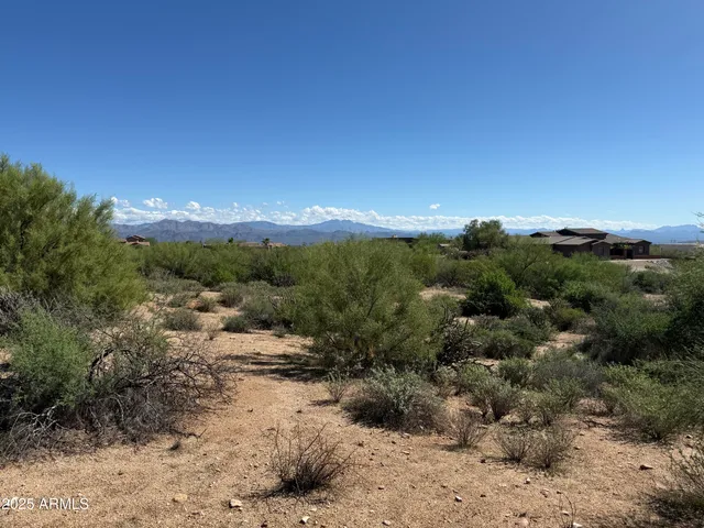 a view of a town with big trees
