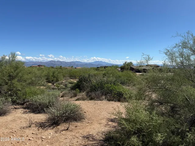 a view of a town with big trees
