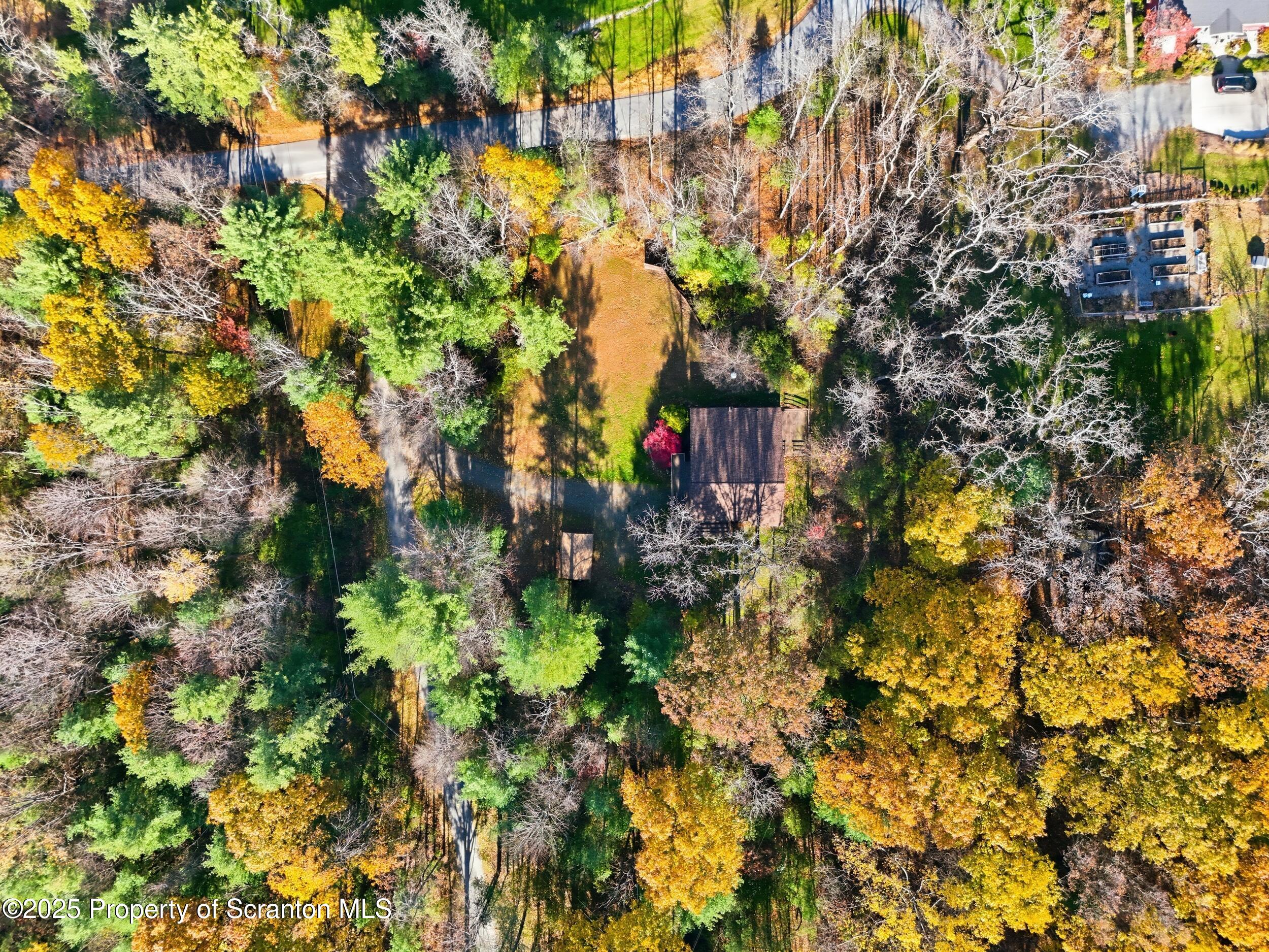 1 Ford Drive Tunkhannock, PA 18657 - Photo 3 of 33 a view of a tree