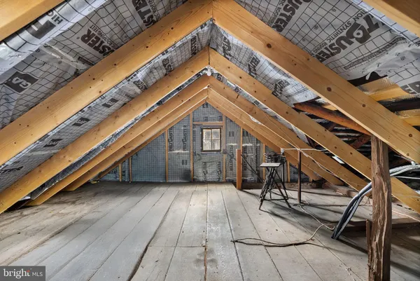 a backyard of a house with plants and large tree
