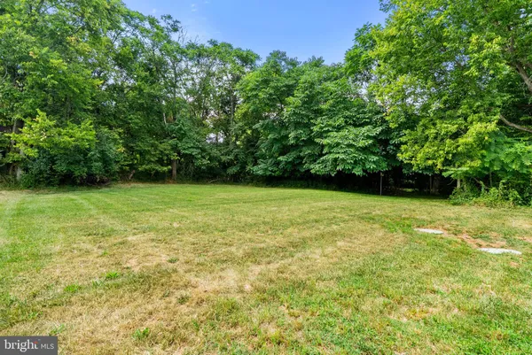 a view of a yard in front of a house with a large tree