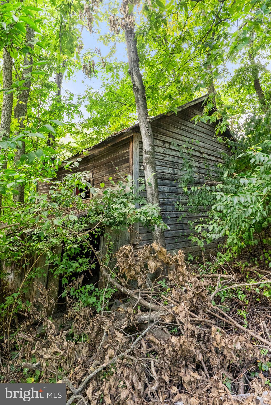 7379 Queen Street Middleway, WV 25430 - Photo 54 of 58 a backyard of a house with lots of green space