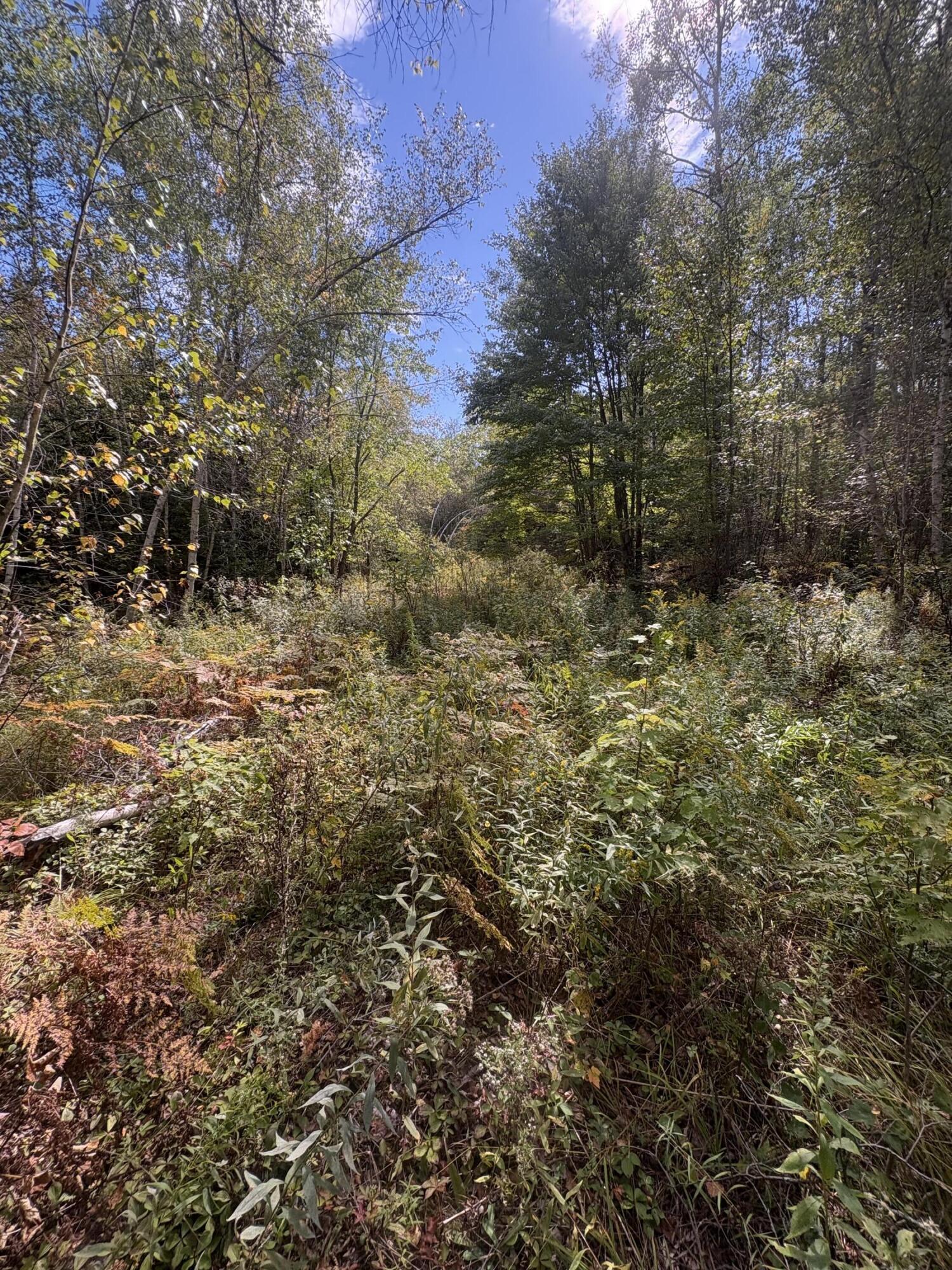 33 Maxfield Road Howland, ME 04448 - Photo 12 of 24 IMG_5500