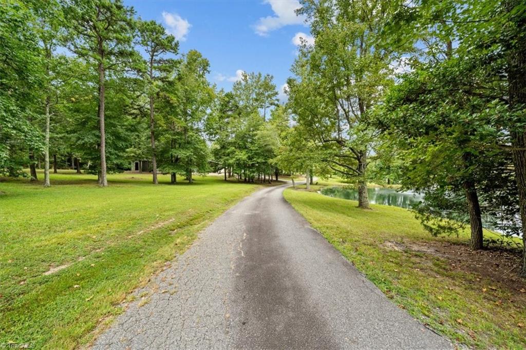 Beautiful long, winding private driveway