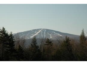 1 Winhall Hollow Road Winhall, VT 05340 - Photo 3 of 12
