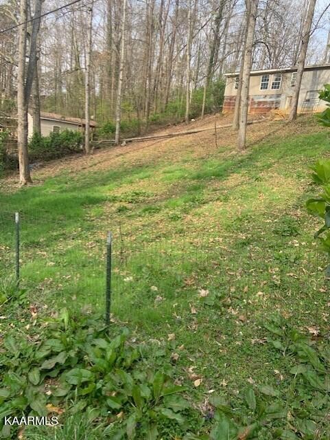 46 Millstone Beach Road Dandridge, TN 37725 - Photo 3 of 5 Gallery Image 3