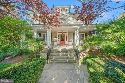 a lush green forest with lots of trees