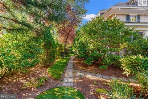 a view of a garden with plants