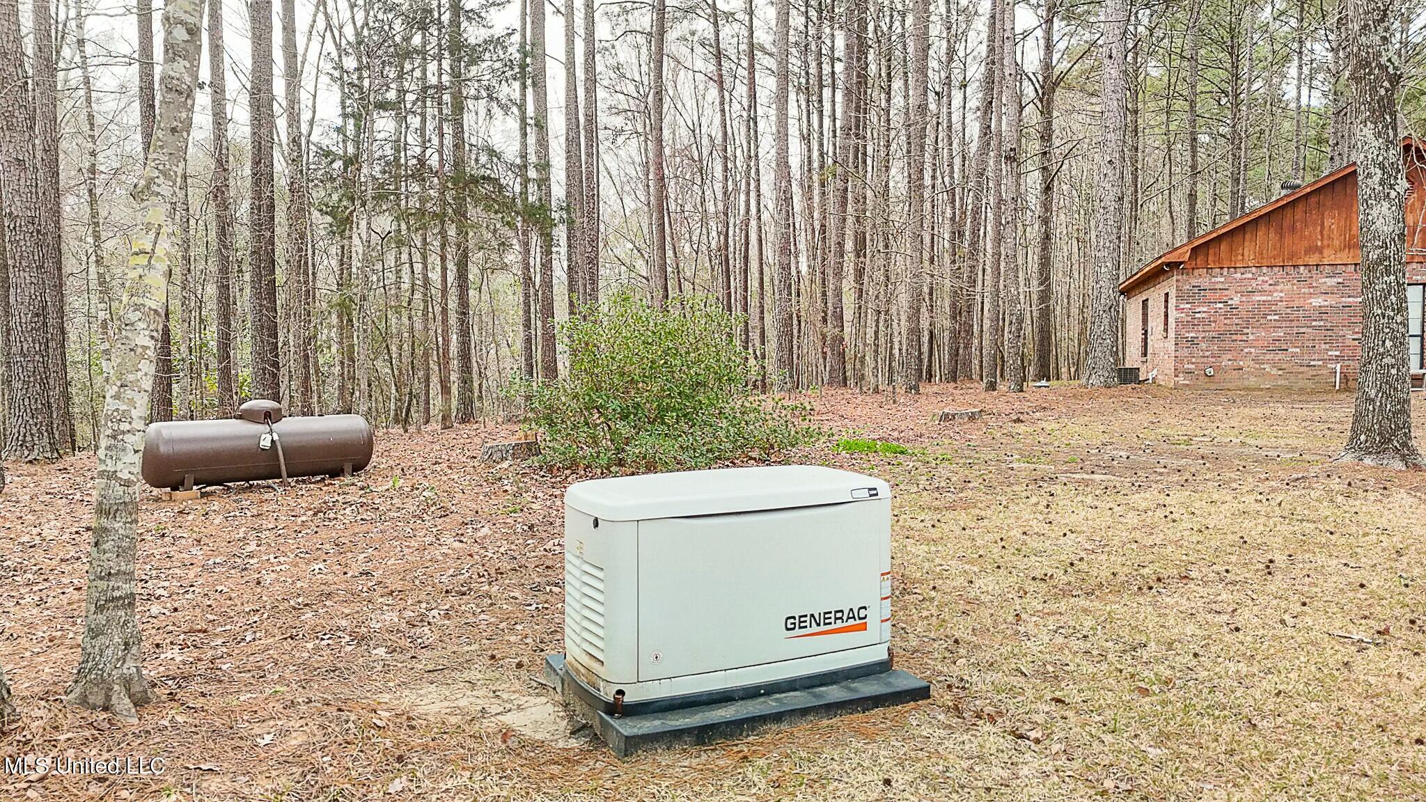 429 Rose Hill Road Mendenhall, MS 39114 - Photo 58 of 72 tempImageWVBm7J