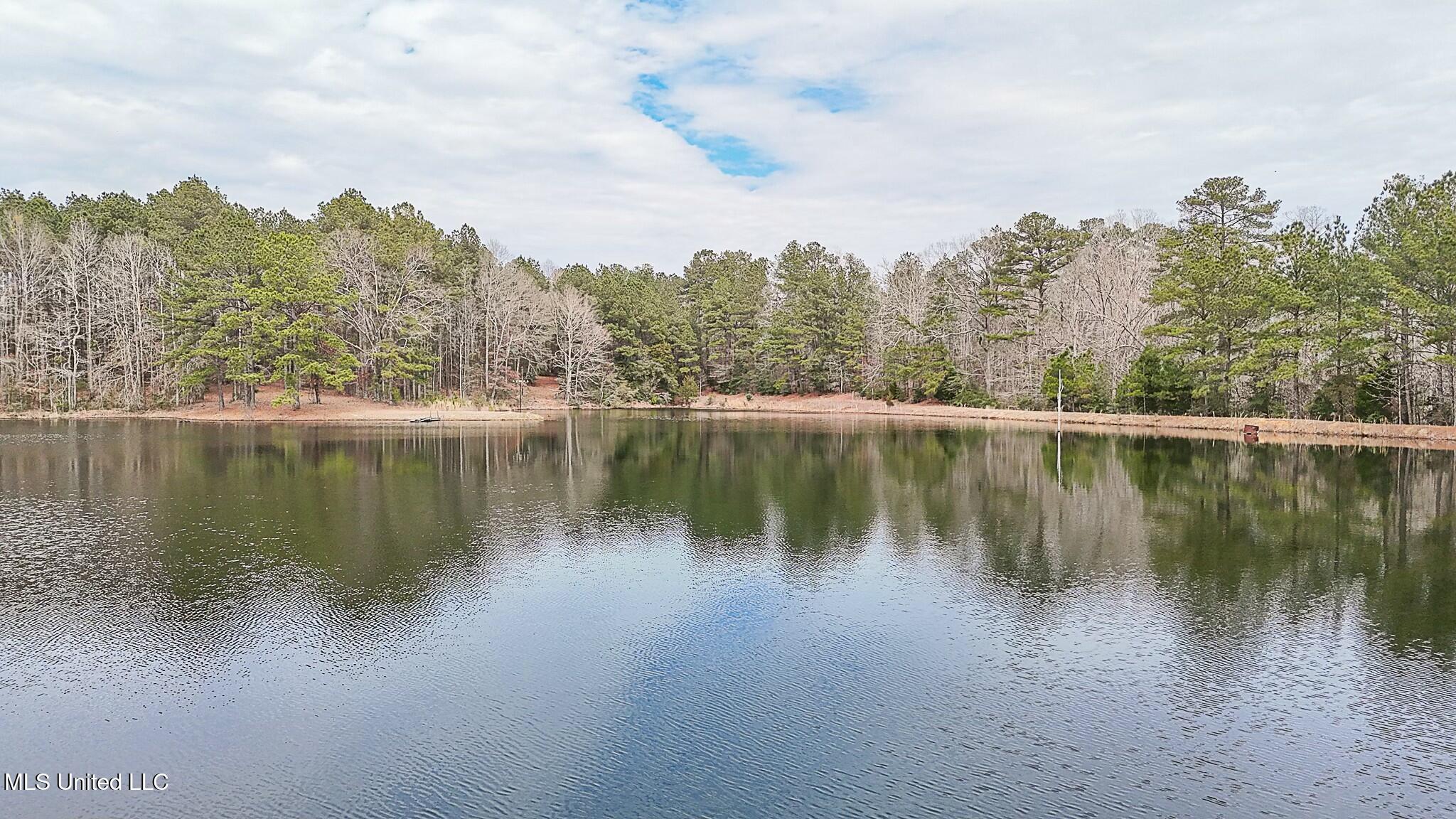 429 Rose Hill Road Mendenhall, MS 39114 - Photo 60 of 72 tempImageLeU9RB