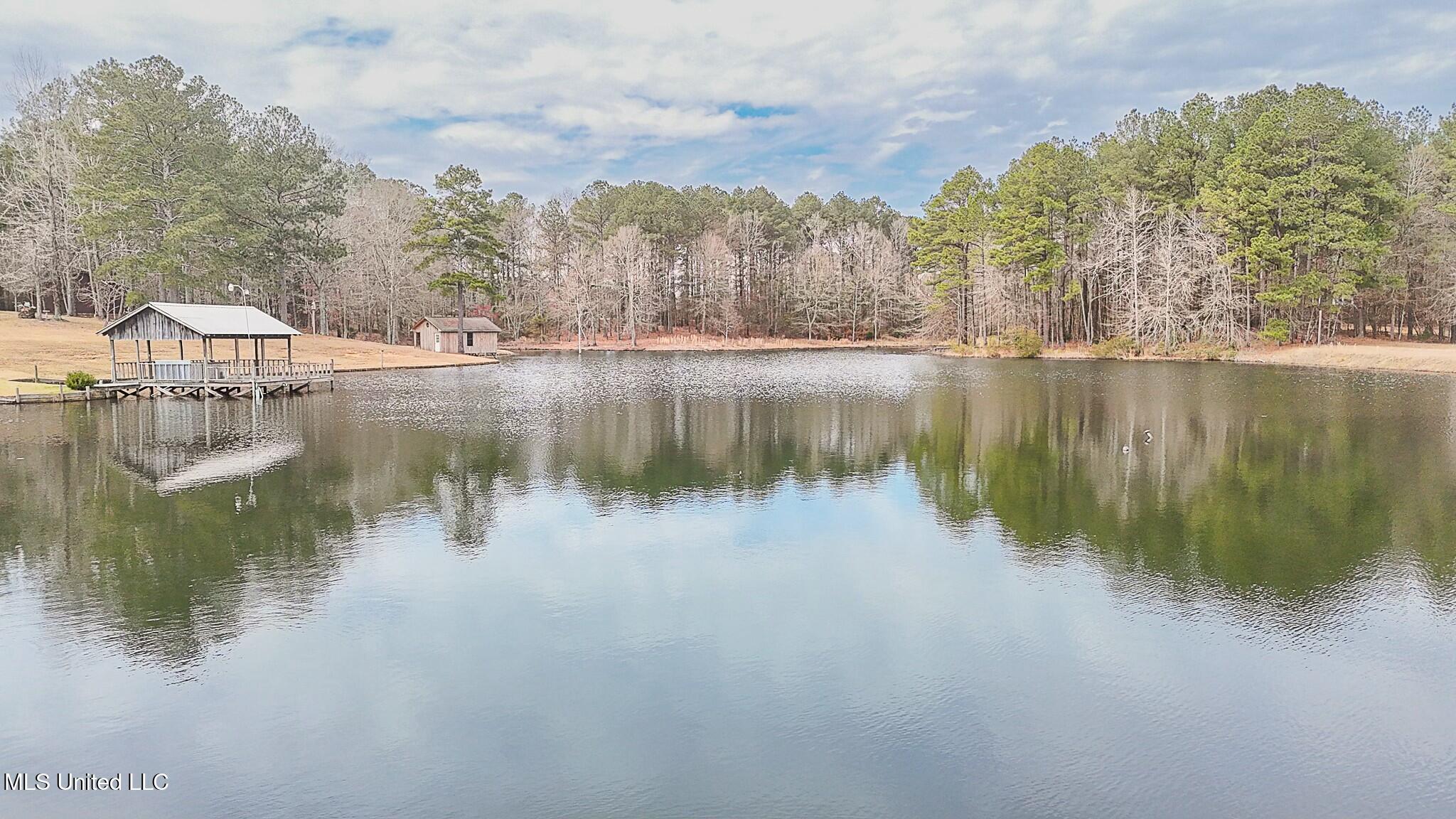 429 Rose Hill Road Mendenhall, MS 39114 - Photo 61 of 72 tempImage2xkvt0