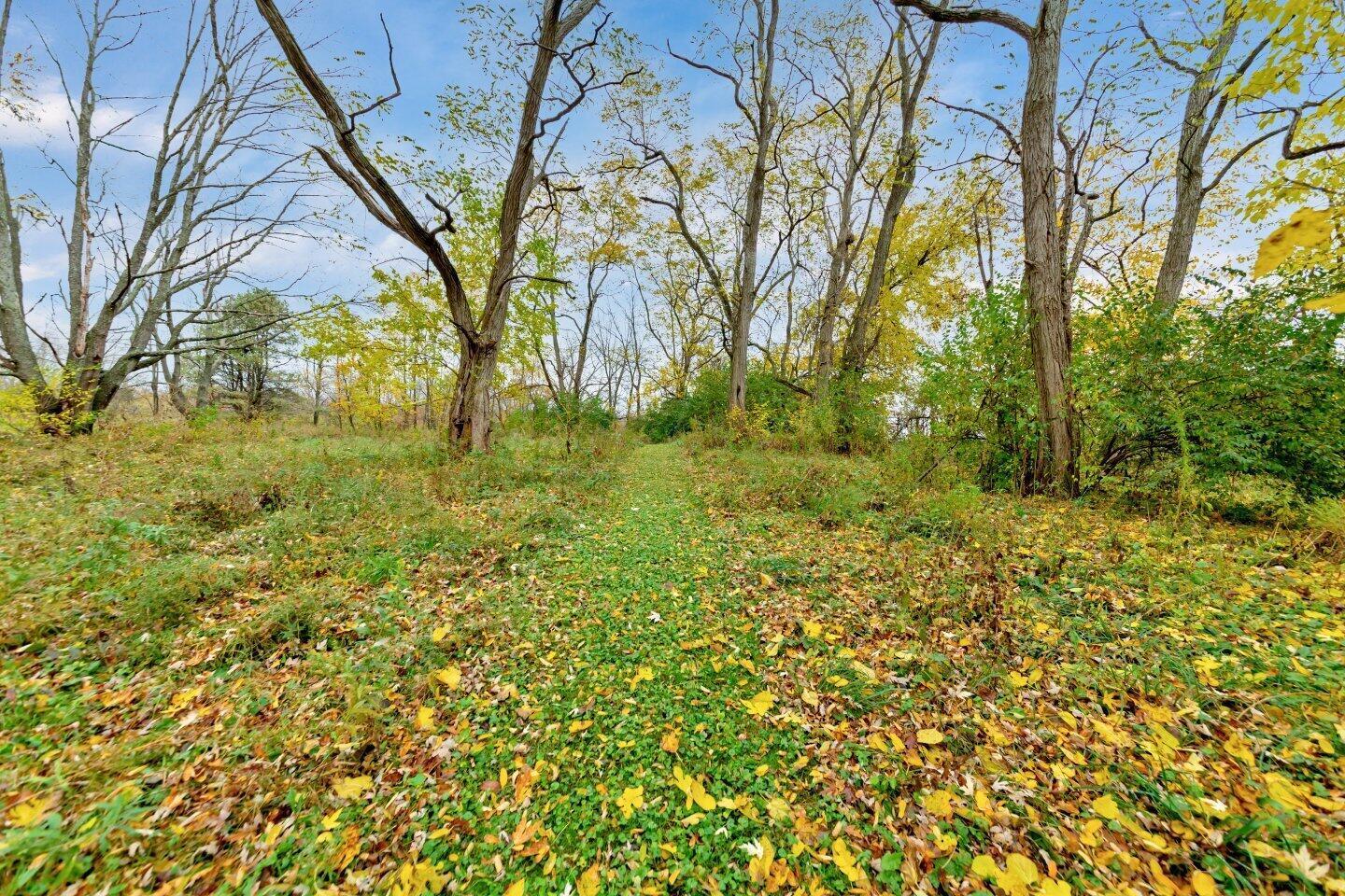8100 East State Rte 29 Urbana, OH 43078 - Photo 41 of 45 8100 OH 29 (236).jpg-SMALL