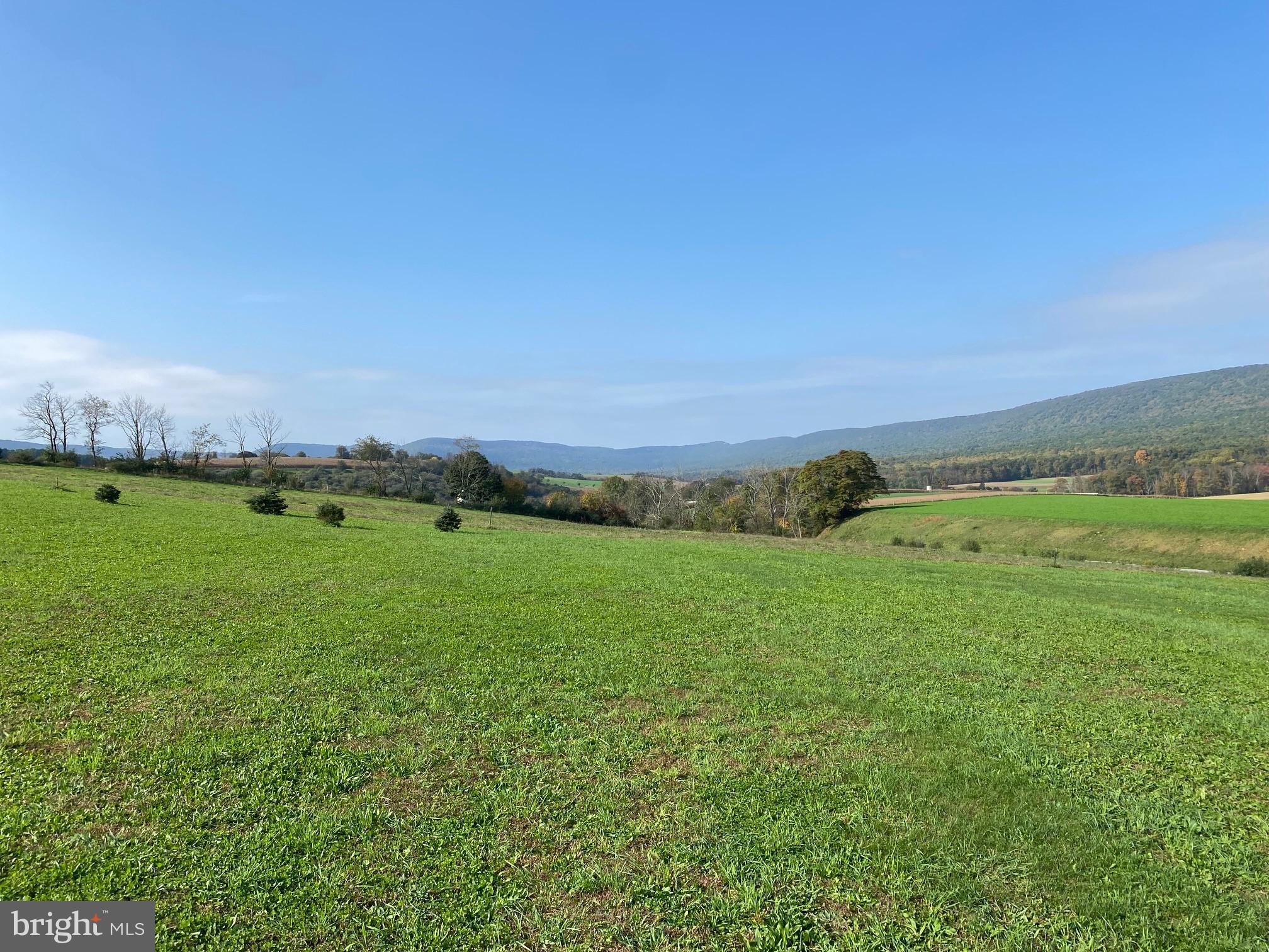 Lot 1 Trexler Road Kempton, PA 19529 - Photo 8 of 10 Gallery Image 8