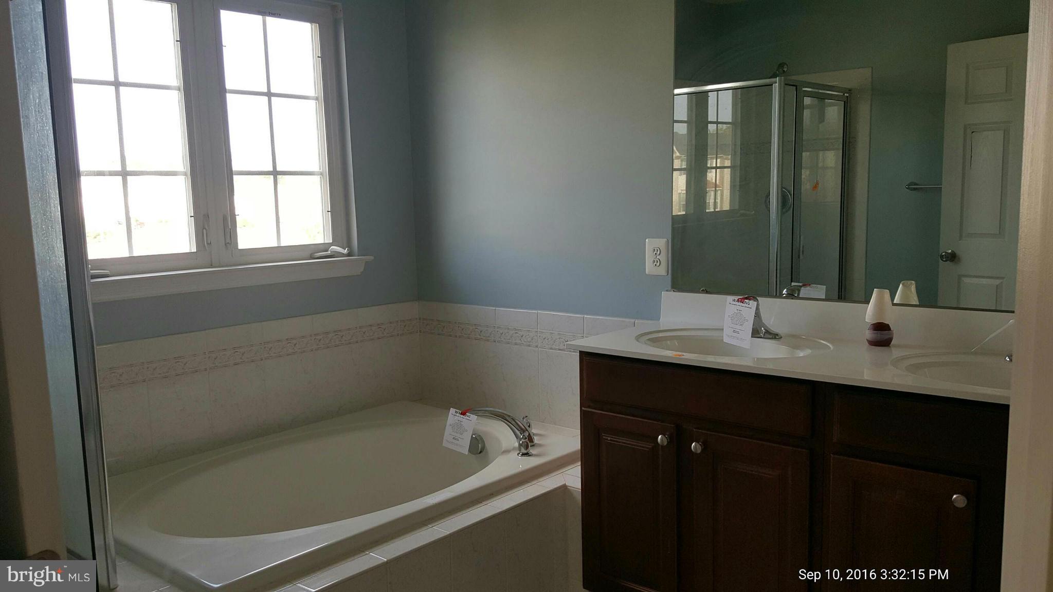 18 Streamside Place Falling Waters, WV 25419 - Photo 22 of 28 Bath (Master)