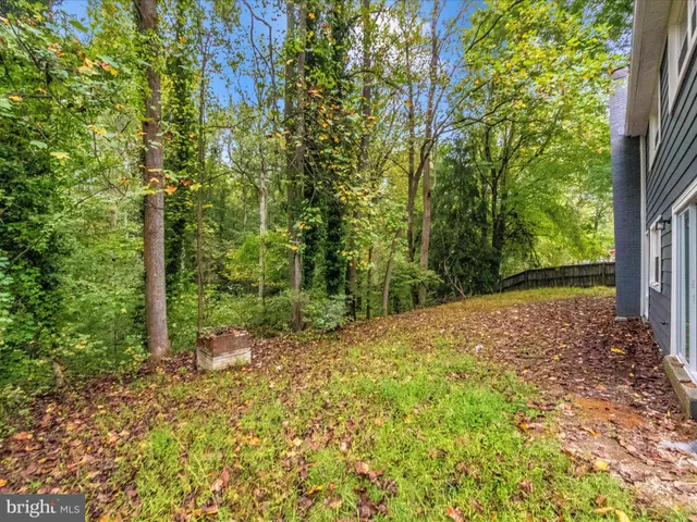 a view of a yard with plants and trees