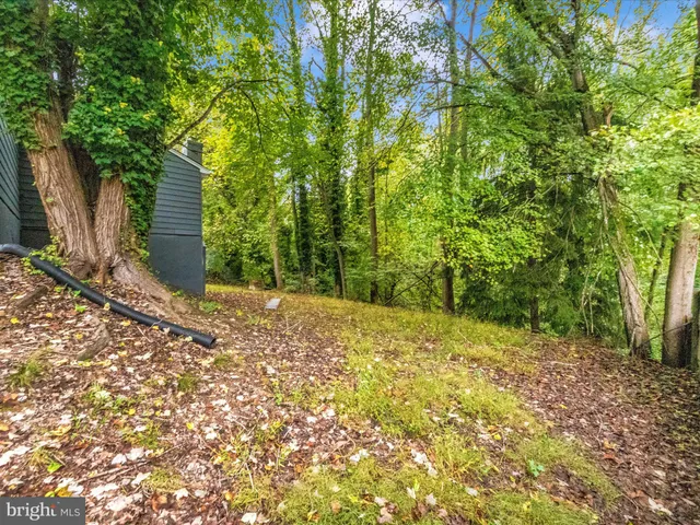 a view of a yard with plants and trees