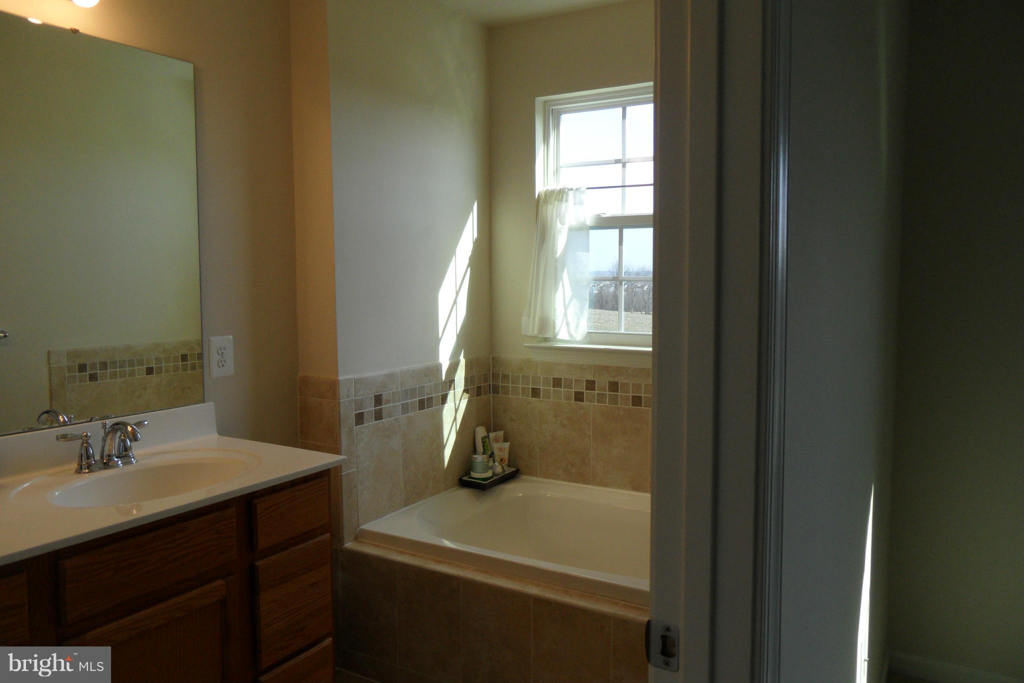 2067 Spring Run Circle Frederick, MD 21702 - Photo 16 of 30 Bath (Master)