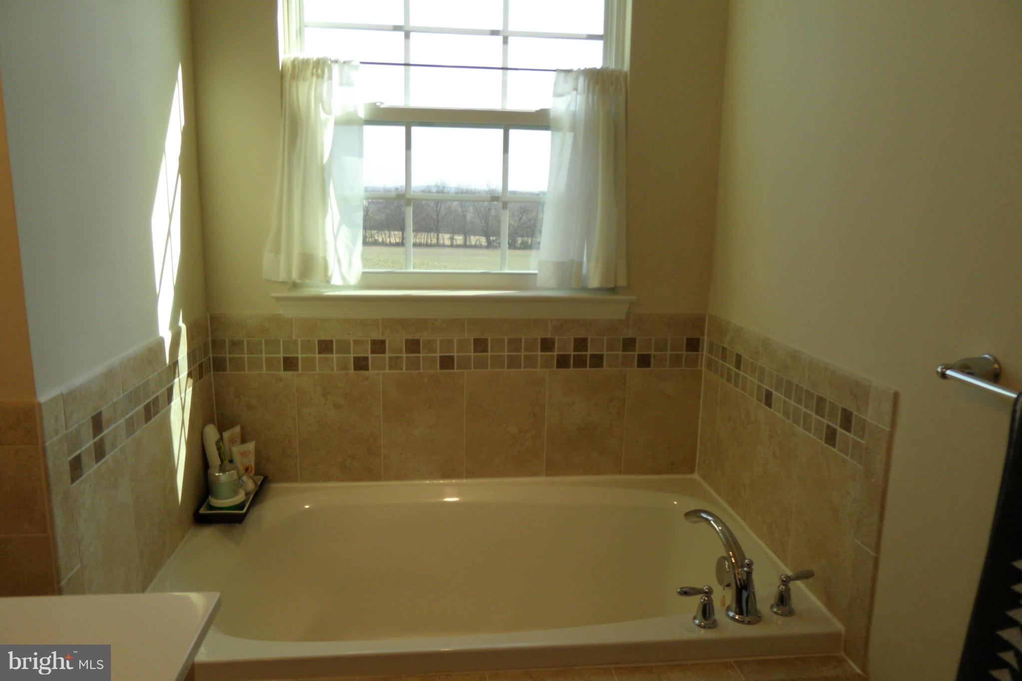 2067 Spring Run Circle Frederick, MD 21702 - Photo 17 of 30 Bath (Master)