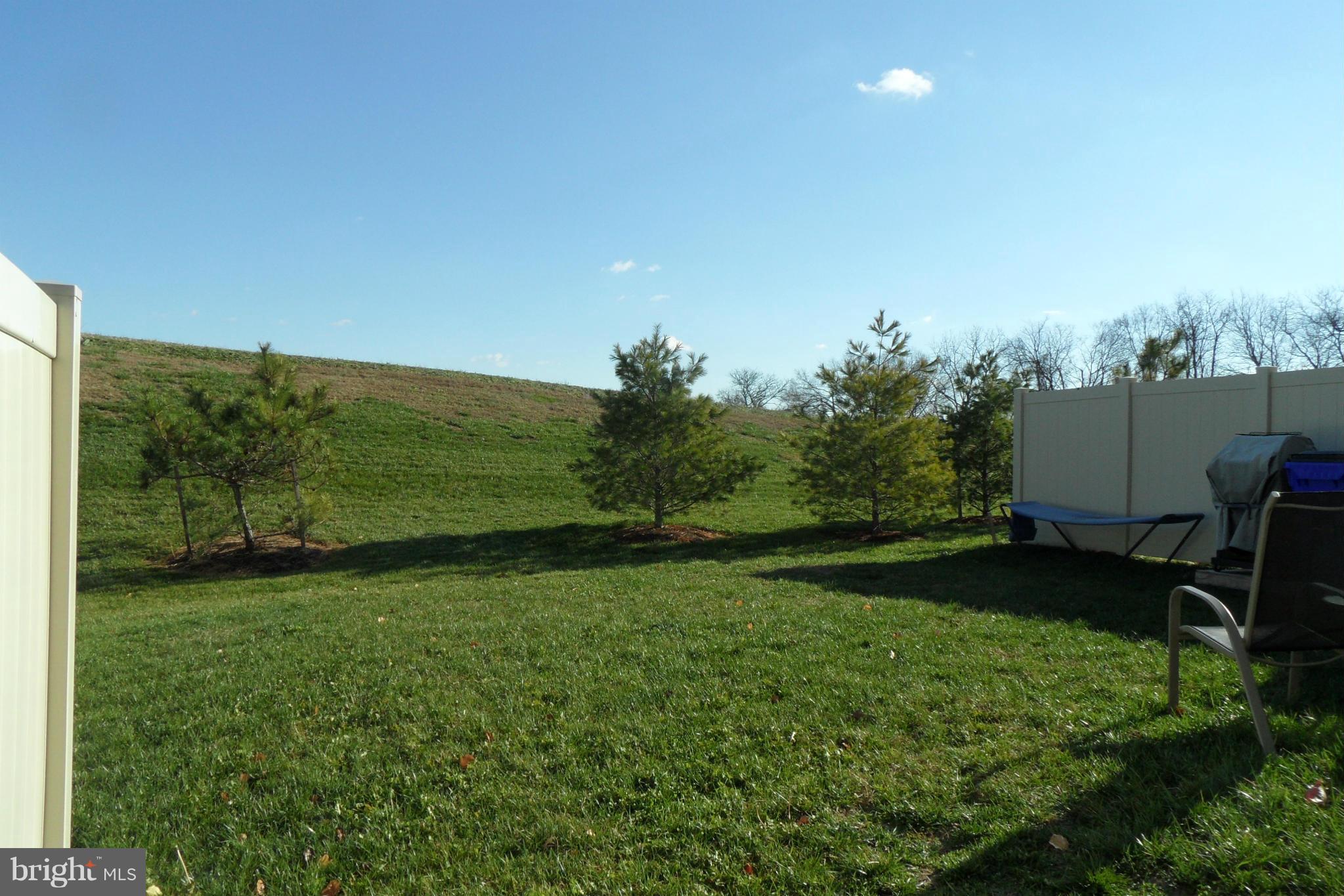 2067 Spring Run Circle Frederick, MD 21702 - Photo 26 of 30 View