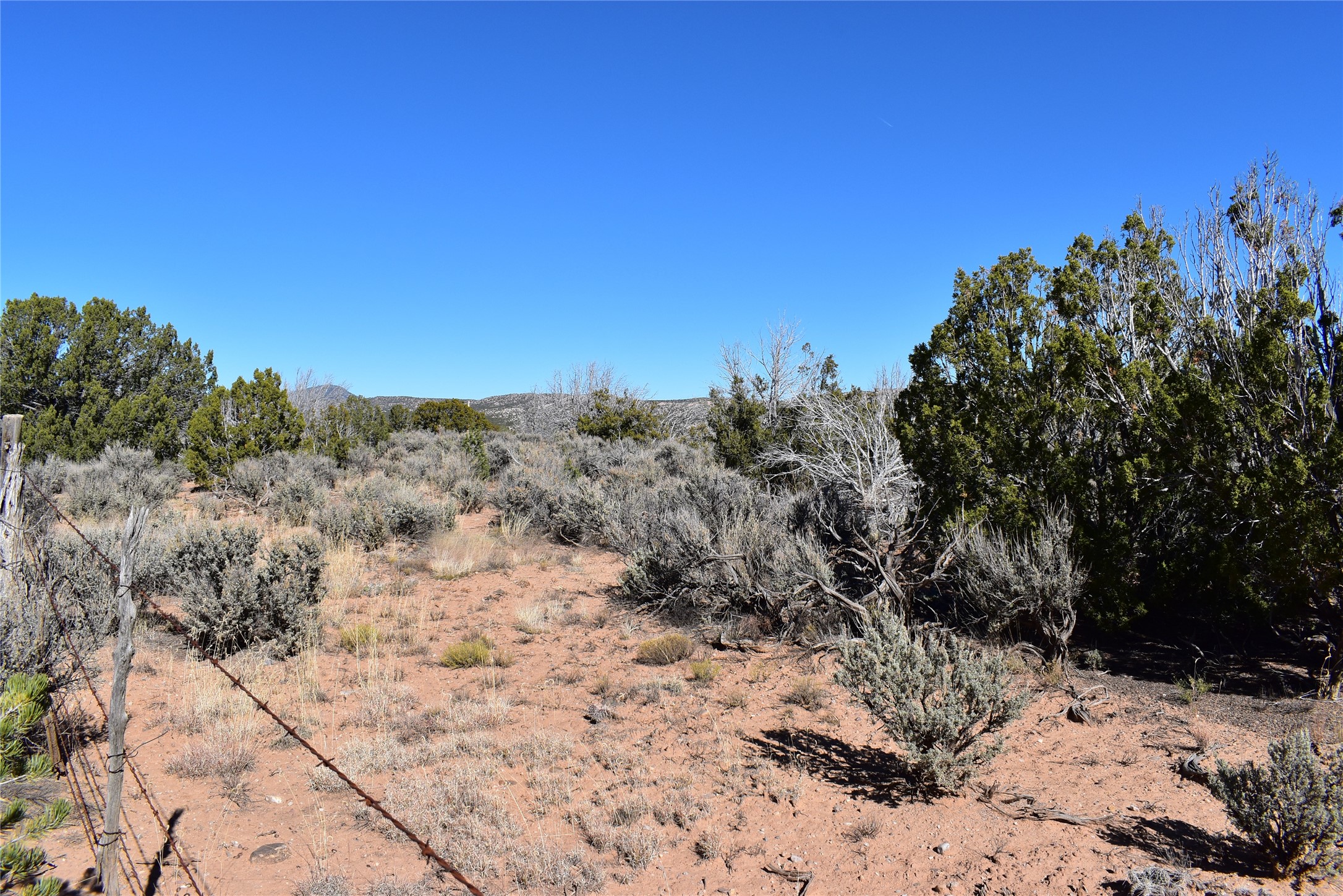 1684 A El Rito, NM 87530 - Photo 4 of 8
