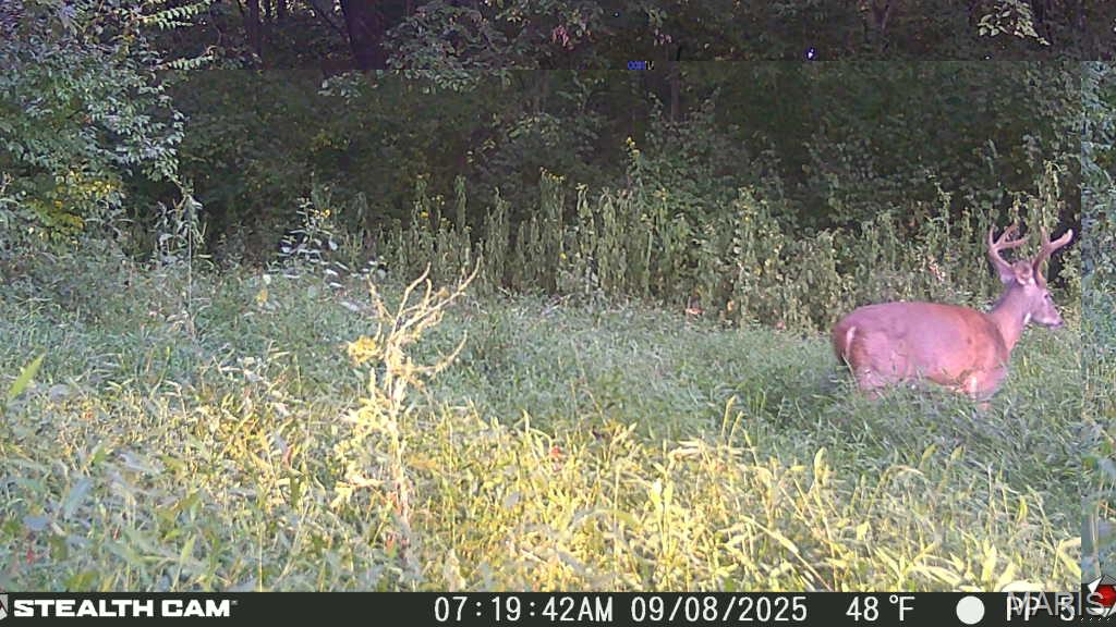 3320 Nollmann Road Millstadt, IL 62260 - Photo 92 of 99 Gallery Image 92