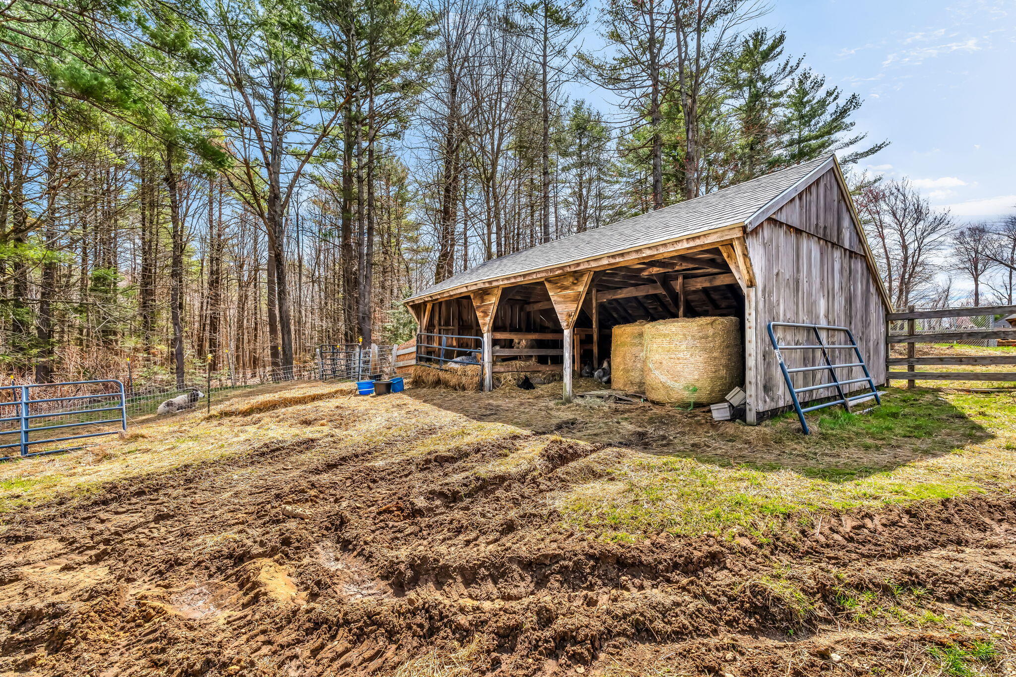 43 York Road Minot, ME 04258 - Photo 24 of 28 24-web-or-mls-43-york-rd