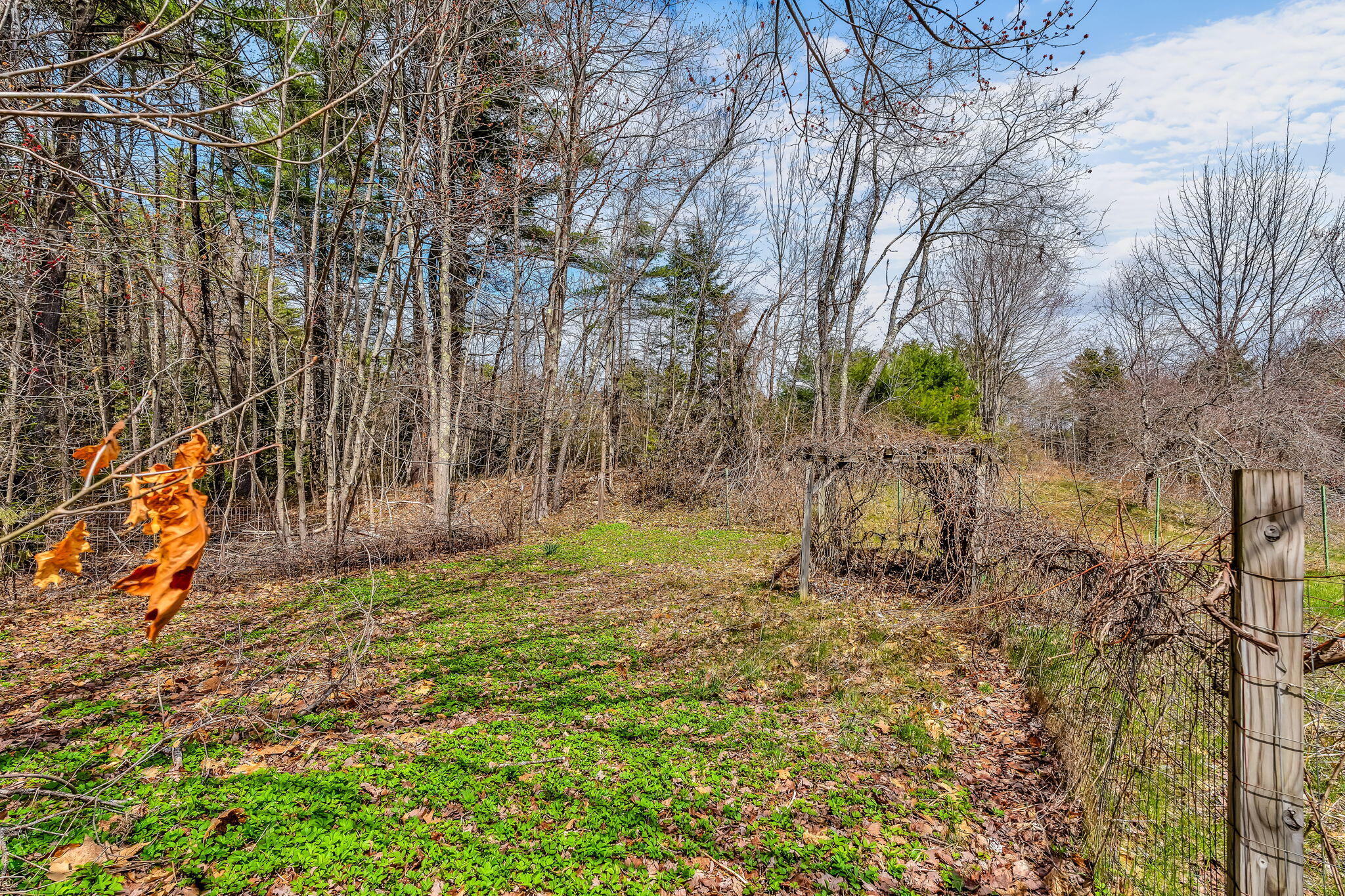 43 York Road Minot, ME 04258 - Photo 28 of 28 28-web-or-mls-43-york-rd