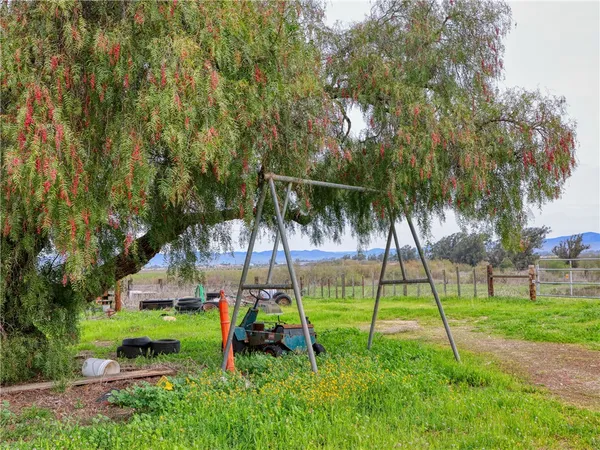 a view of a garden with a slide