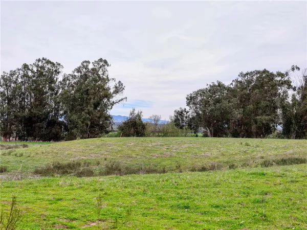 a view of a field with trees in the background