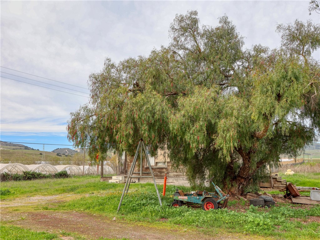 31 Cabrillo Highway Santa Maria, CA 93455 - Photo 9 of 44 a view of a park with large trees