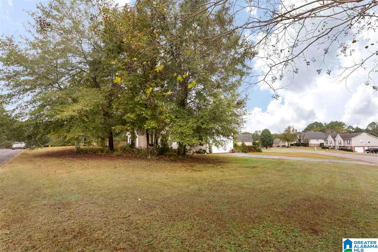 164 Meadows Drive Springville, AL 35146 - Photo 4 of 37 Gallery Image 4
