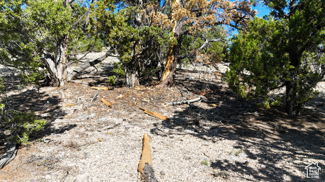 123 Tbd Prout Wash Road North Cedar City, UT 84721 - Photo 53 of 82