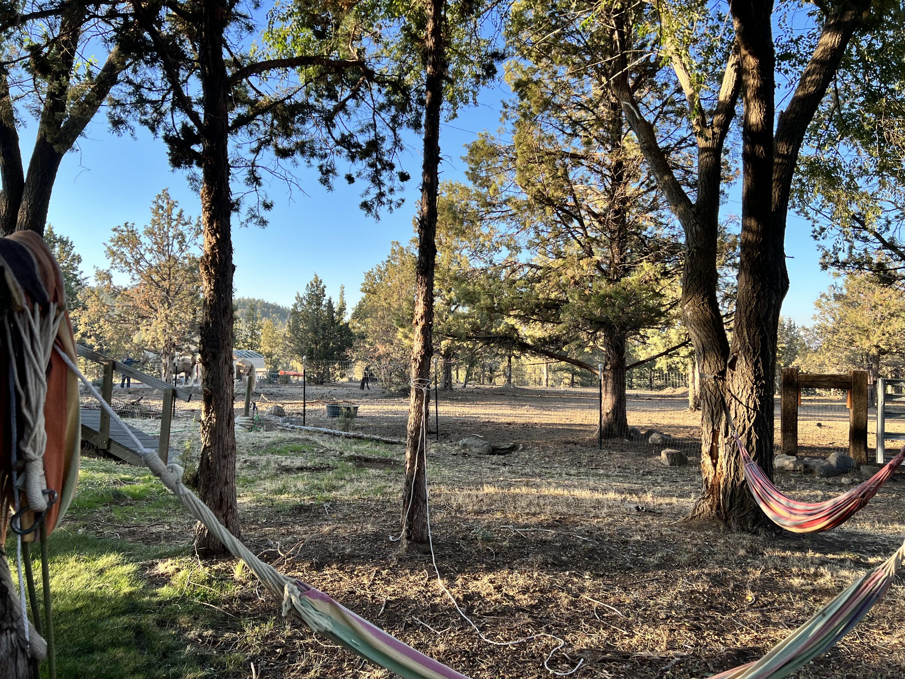 64570 Research Road Bend, OR 97703 - Photo 37 of 60 a view of a backyard with large tree
