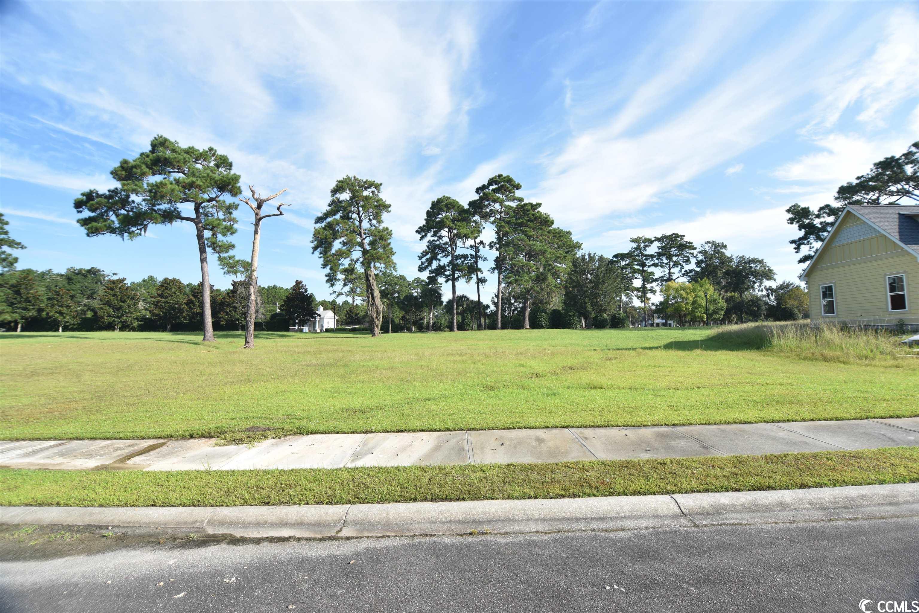 Lot 184 Commanders Island Road Georgetown, SC 29440 - Photo 1 of 35 Gallery Image 1