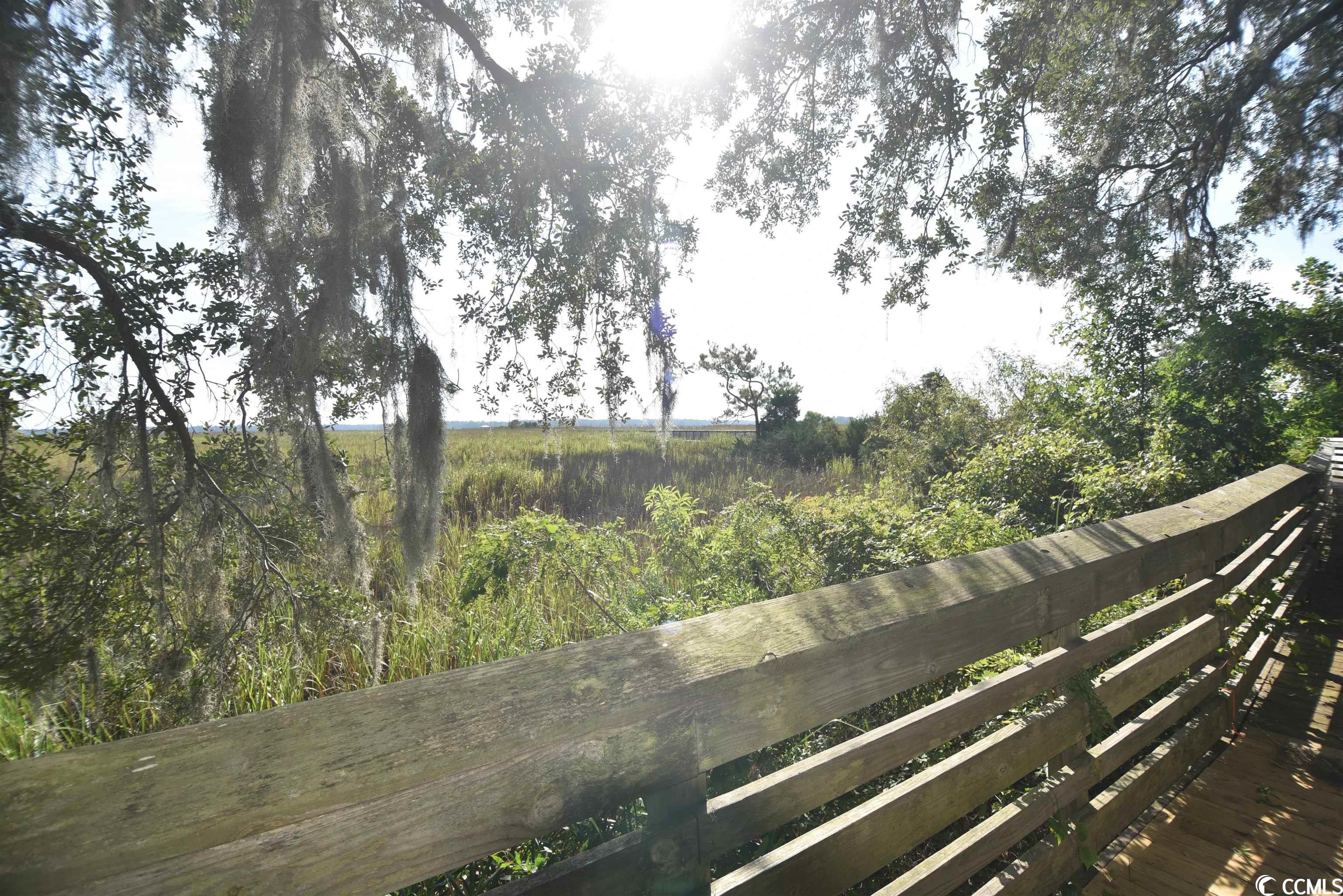 Lot 184 Commanders Island Road Georgetown, SC 29440 - Photo 20 of 35 Gallery Image 20