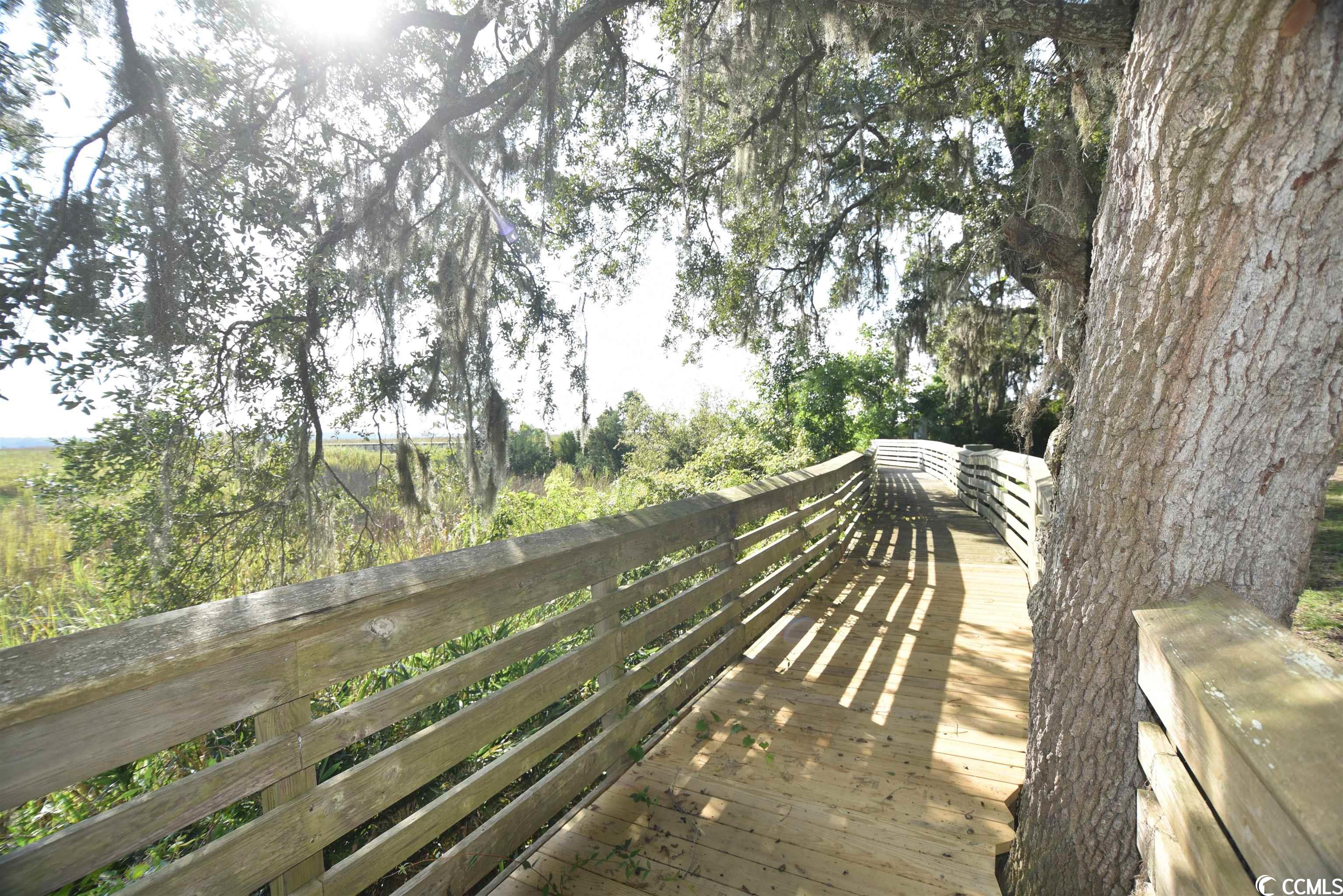 Lot 184 Commanders Island Road Georgetown, SC 29440 - Photo 32 of 35 Gallery Image 32