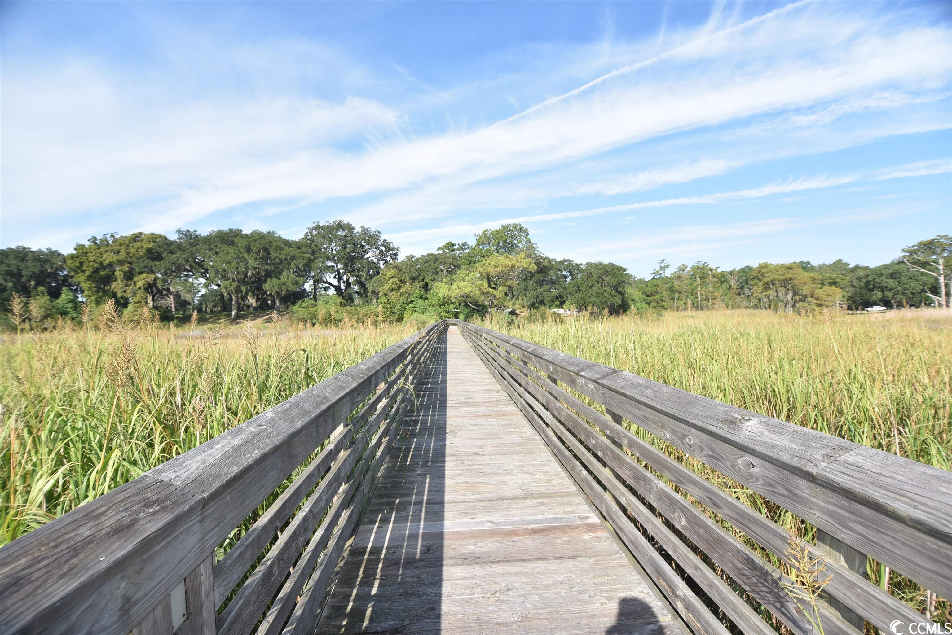 Lot 184 Commanders Island Road Georgetown, SC 29440 - Photo 34 of 35 Gallery Image 34